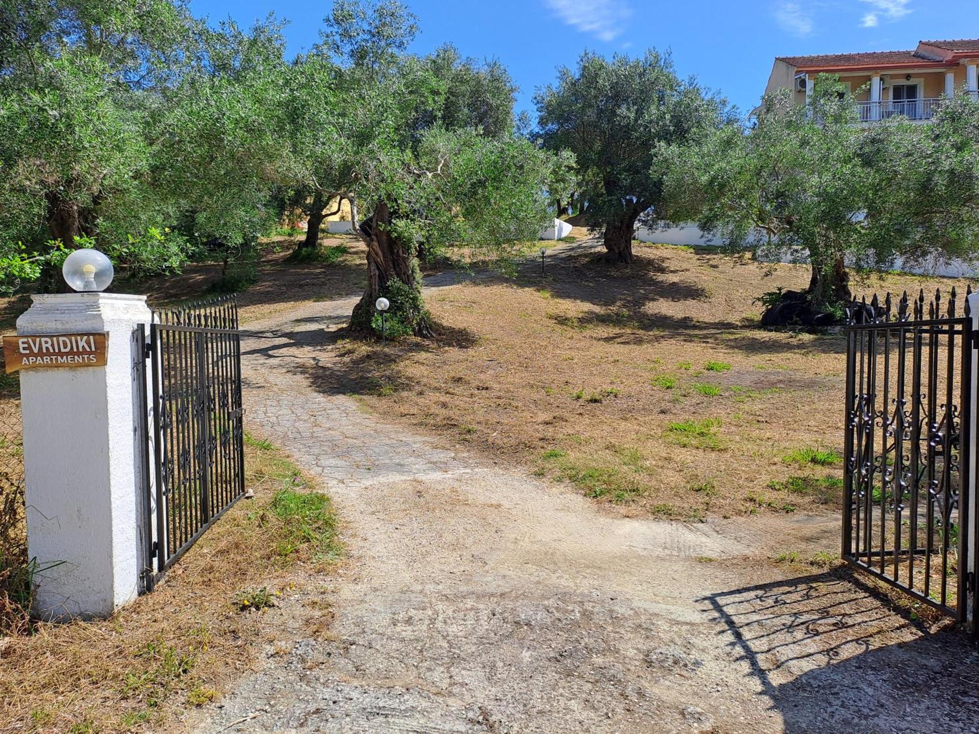 Evridiki Apartment Mesongi