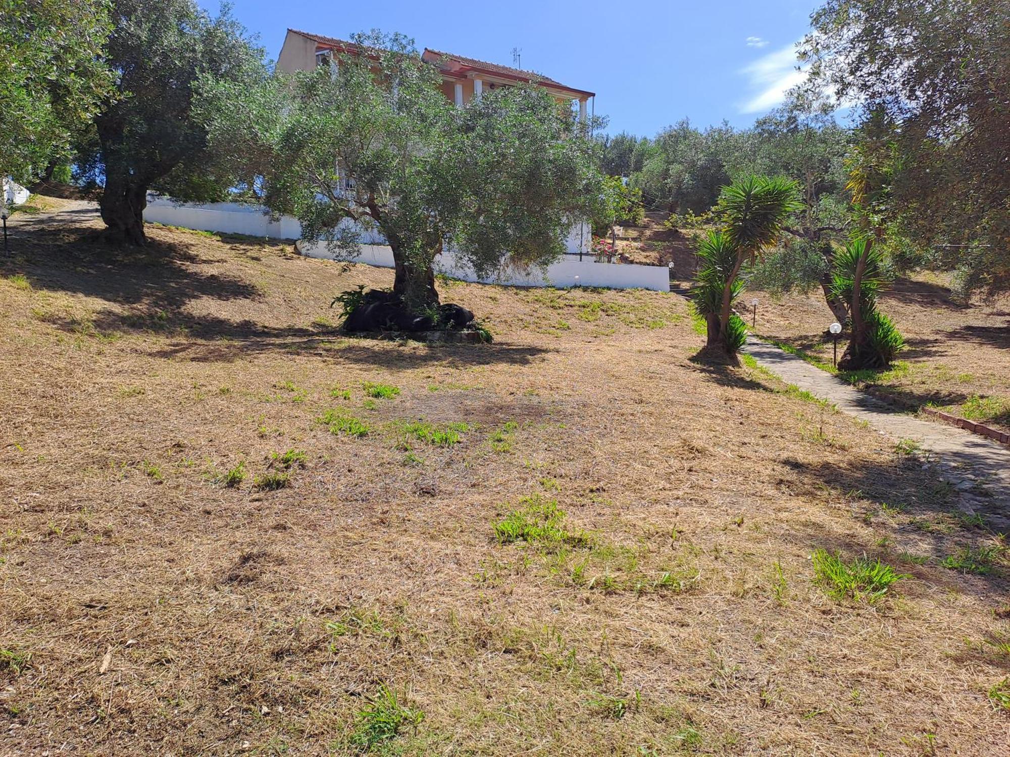 Apartment Evridiki Mesongi