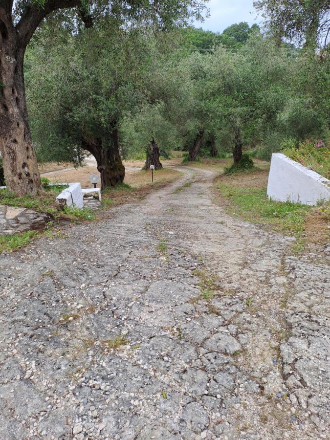 Διαμέρισμα ευριδίκη Μεσογγή