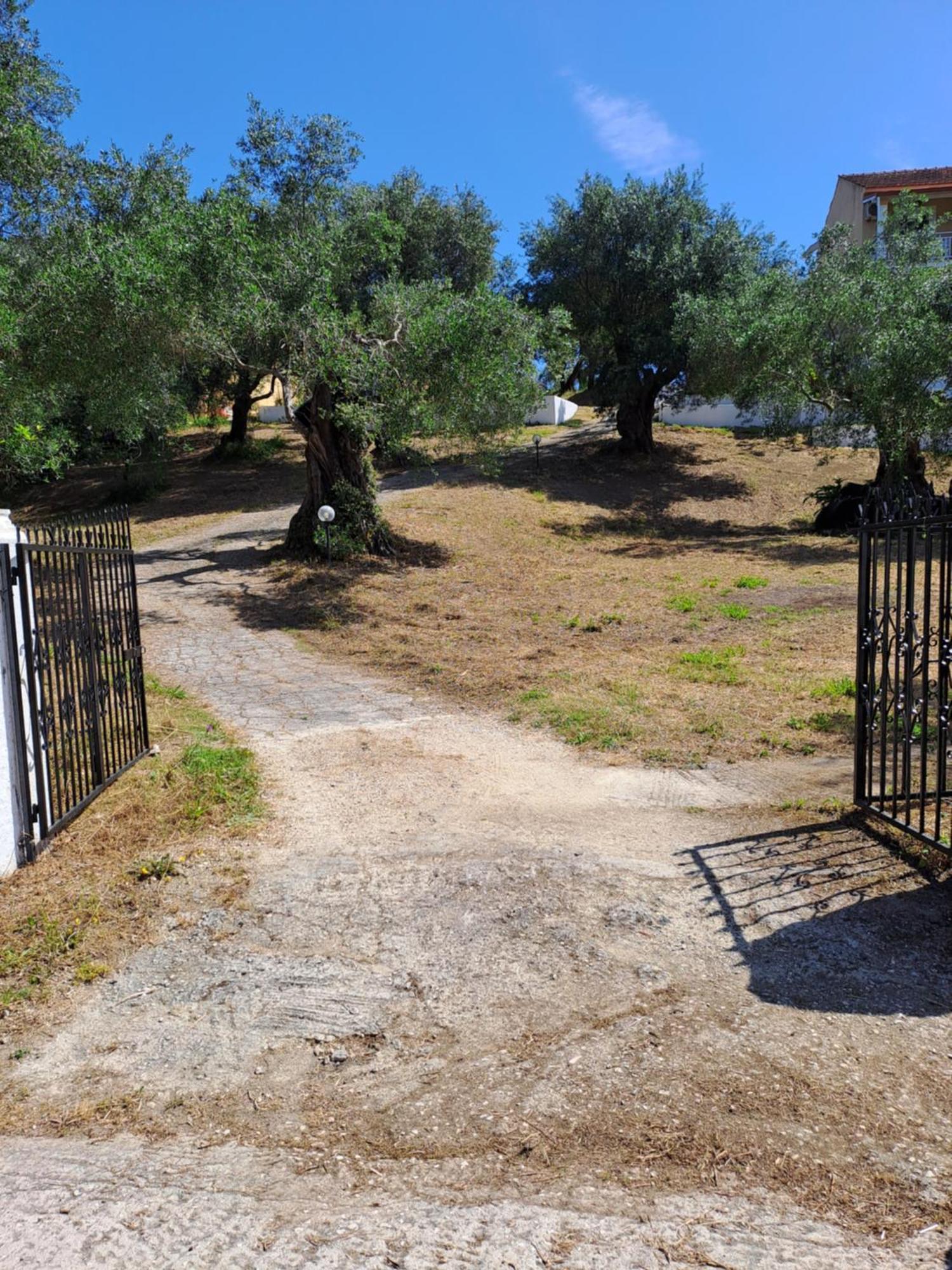 ευριδίκη Διαμέρισμα