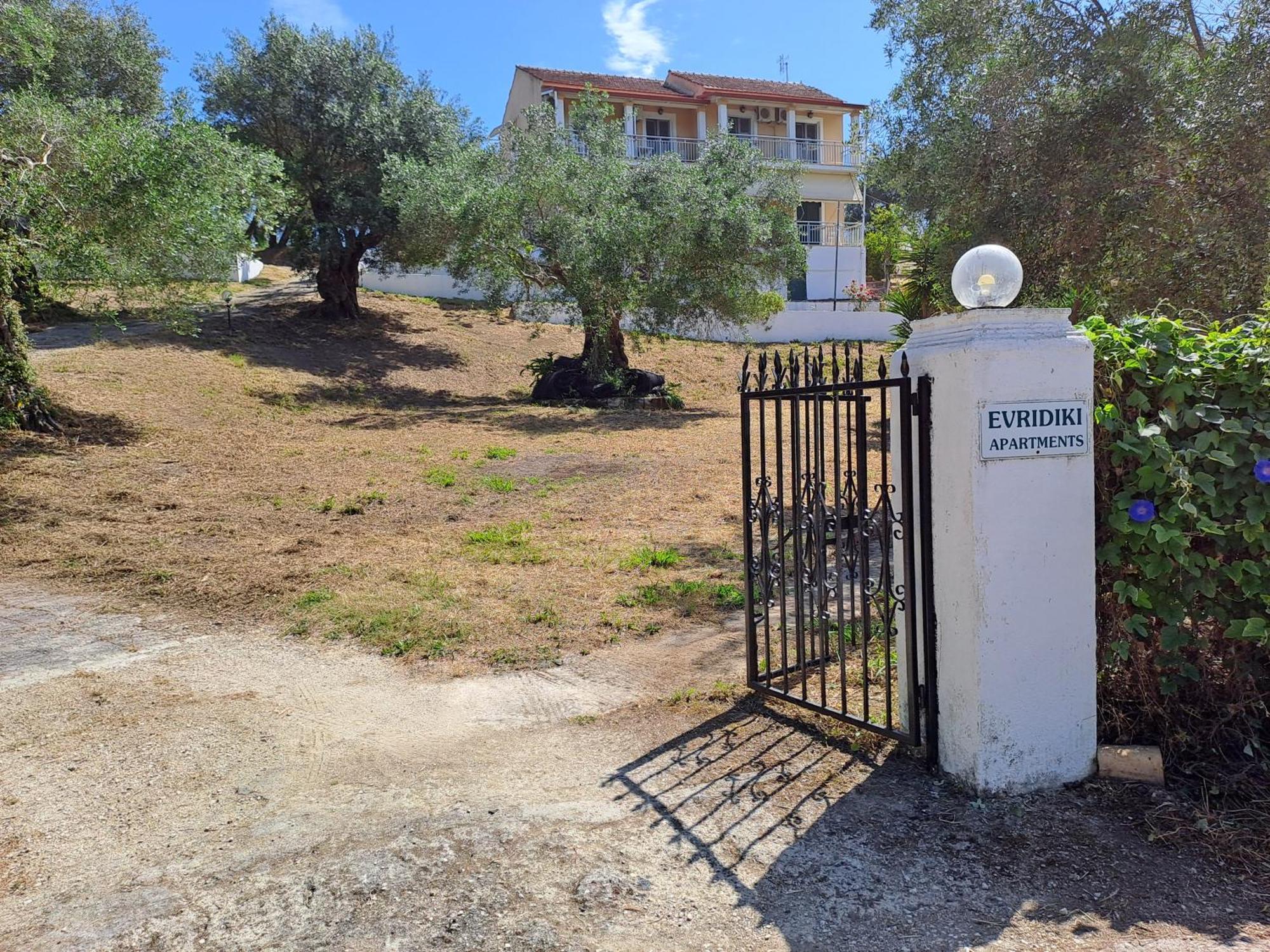 Διαμέρισμα ευριδίκη *