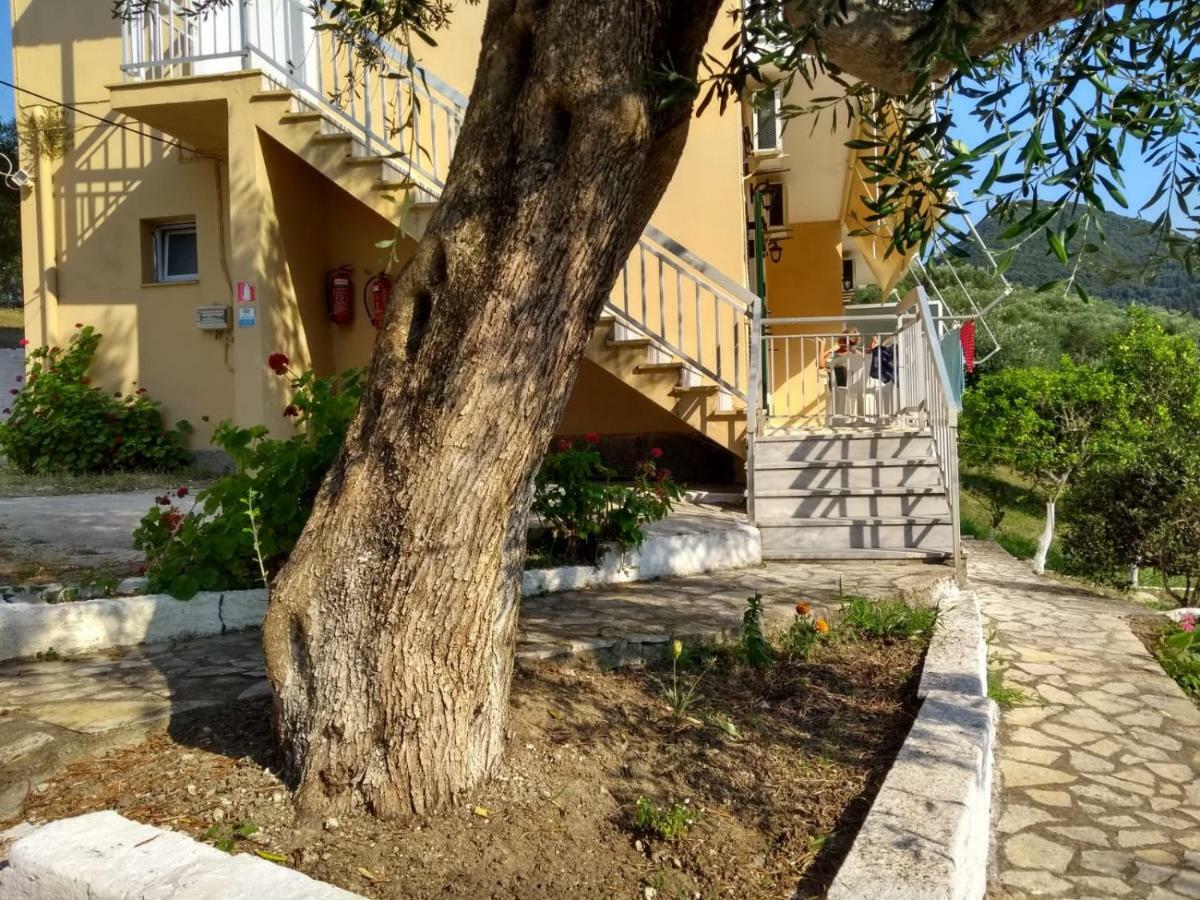 ευριδίκη * Μεσογγή